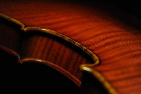 �o�C�I���� �}���I �K�b�_ �C�^���A