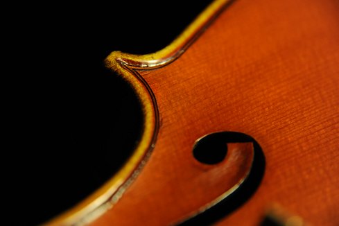 Gadda Mario MAGICO ITALY