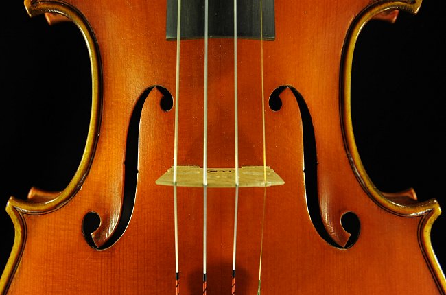 �o�C�I���� �}���I �K�b�_ �C�^���A