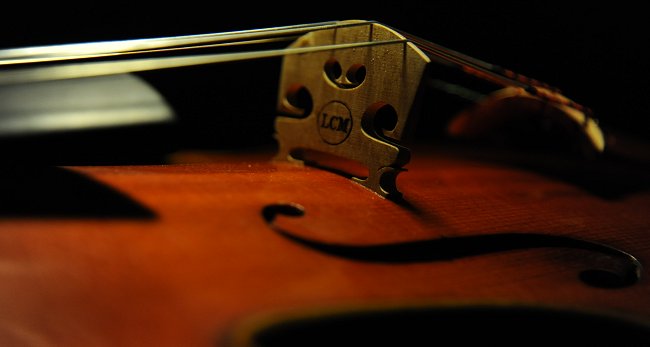 Gadda Mario MAGICO ITALY