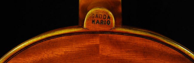 �o�C�I���� �}���I �K�b�_ �C�^���A