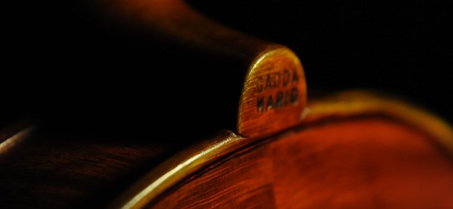 �o�C�I���� �}���I �K�b�_ �C�^���A