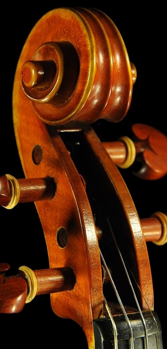 Gadda Mario Violin �}�W�R �C�^���A