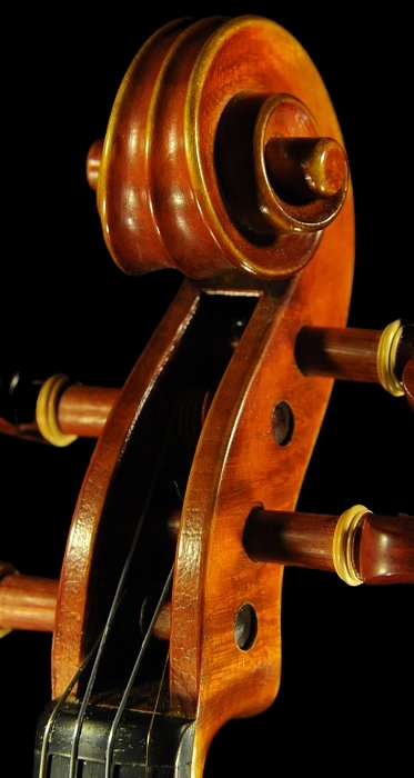 �o�C�I���� �}���I �K�b�_ MAGICO �C�^���A