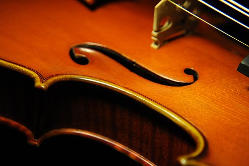 Gadda Mario Violin �}�W�R �C�^���A