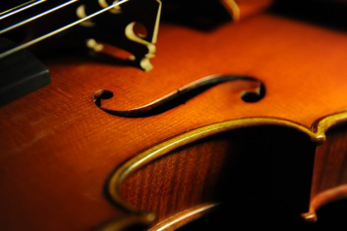 �o�C�I���� �}���I �K�b�_ MAGICO �C�^���A