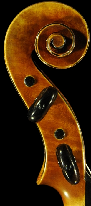 �o�C�I���� �J�y�� �C�^���A �}�W�R