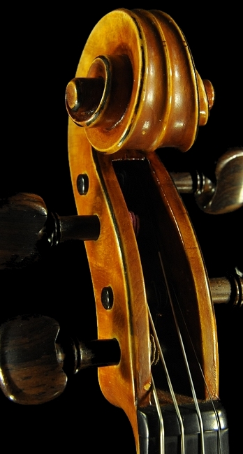 バイオリン カペラ イタリア マジコ