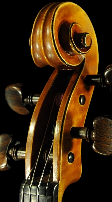 Antonio Capela Violin ポルトガル MAGICO