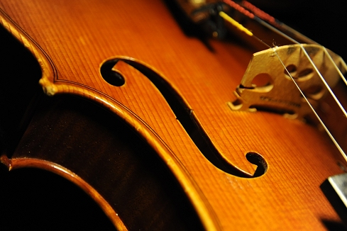 �o�C�I���� �J�y�� �|���g�K�� �}�W�R