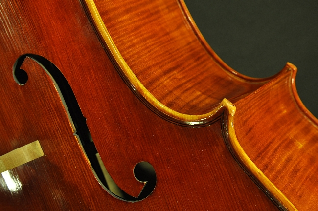 �`�F�� �C�^���A �f�B�r�A�b�W�� �H�[