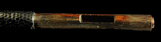 �T���g���[ �p�� �| �}�W�R