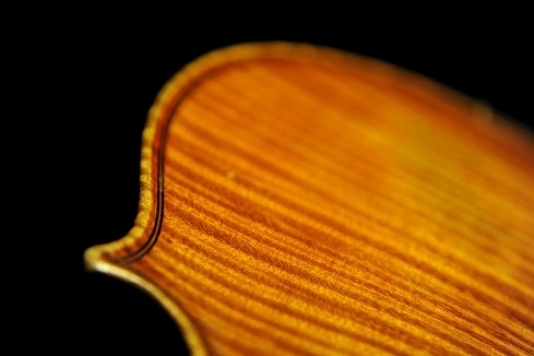 �o�C�I���� �K�����x���e�B �~���m �C�^���A