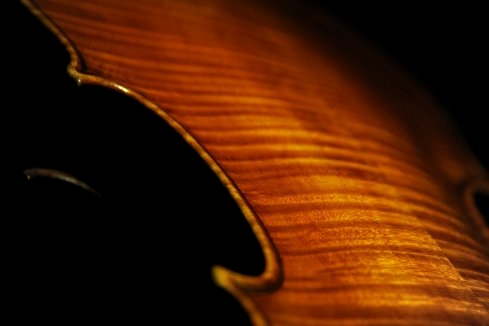 �o�C�I���� �K�����x���e�B �~���m �C�^���A