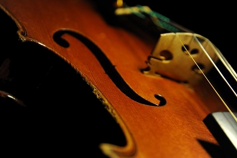 �o�C�I���� �K�����x���e�B �~���m �C�^���A