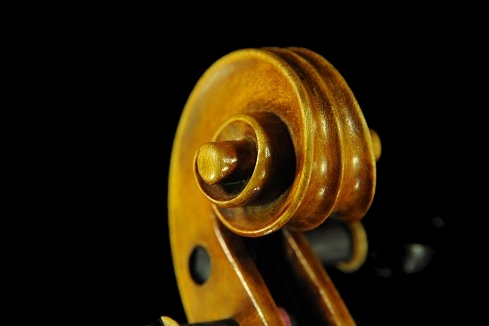 �o�C�I���� �K�����x���e�B �~���m �C�^���A