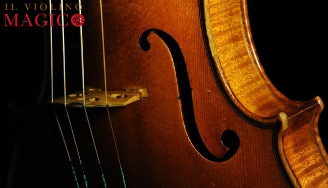 �o�C�I���� �K�����x���e�B �~���m �C�^���A