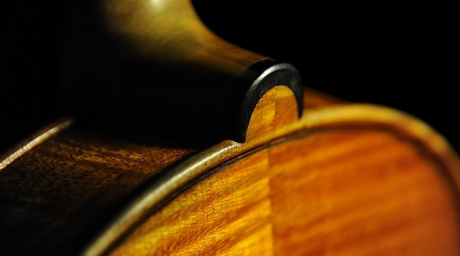 �o�C�I���� �K�����x���e�B �~���m �C�^���A