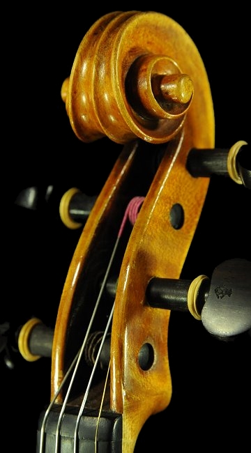 �o�C�I���� �K�����x���e�B �~���m �C�^���A