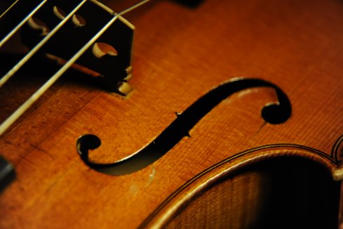 �o�C�I���� �K�����x���e�B �~���m �C�^���A