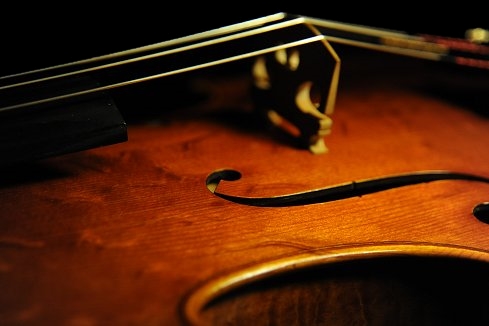 Bissolotti Viola �C�^���A MAGICO