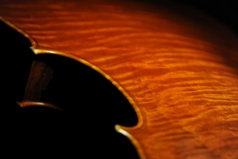 Bissolotti Viola �C�^���A MAGICO