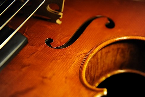 Bissolotti Viola �C�^���A MAGICO