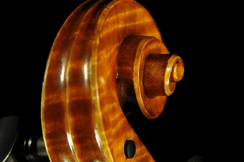 Bissolotti Viola �C�^���A MAGICO