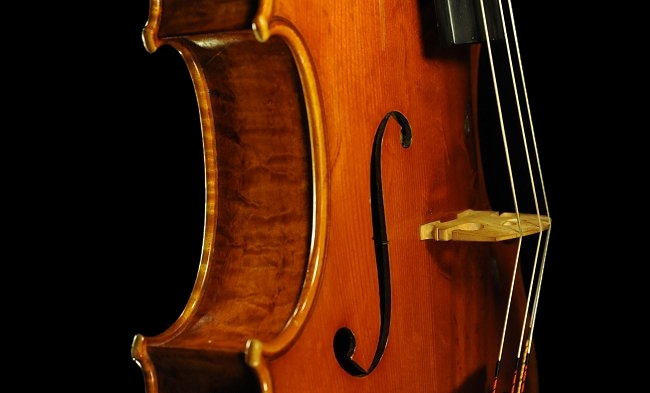 Bissolotti Viola �C�^���A MAGICO