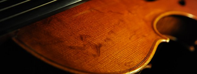 Bissolotti Viola �C�^���A MAGICO