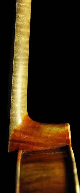 Bissolotti Viola �C�^���A MAGICO