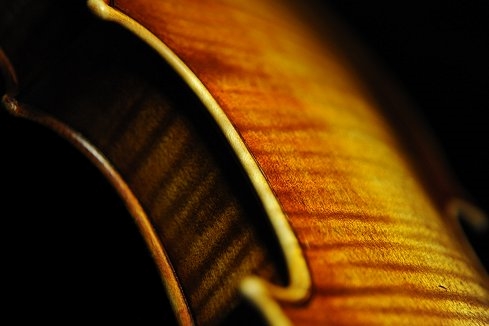 �o�C�I���� �N�o���c�B �}�W�R �C�^���A