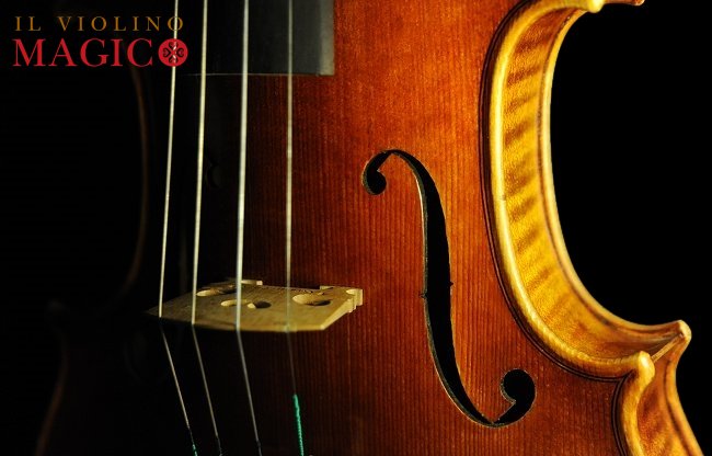 �o�C�I���� �N�o���c�B �}�W�R �C�^���A