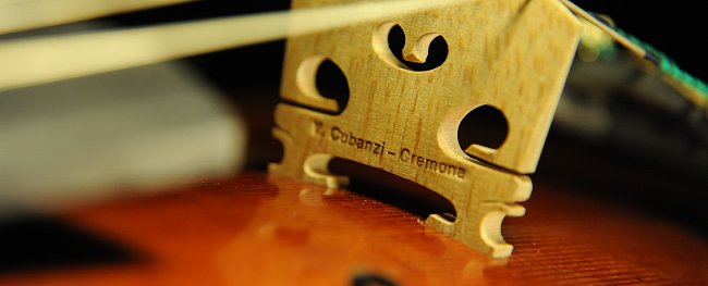 �o�C�I���� �N�o���c�B �}�W�R �C�^���A