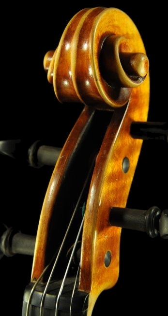 �o�C�I���� �N�o���c�B �}�W�R �N�����i �C�^���A