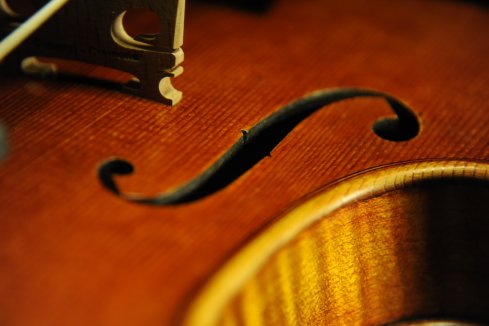 �o�C�I���� �N�o���c�B �}�W�R �N�����i �C�^���A