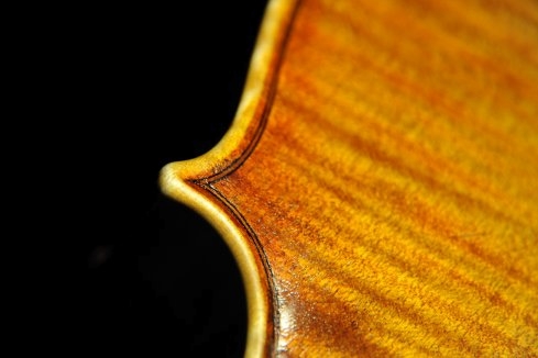 �o�C�I���� �N�o���c�B �}�W�R �N�����i �C�^���A