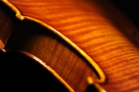 �X�e�t�@�m �R�j�A �C�^���A Conia 