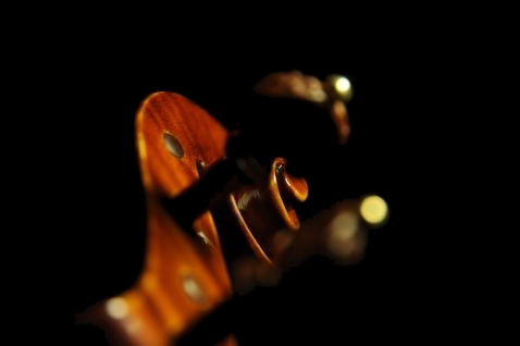 �X�e�t�@�m �R�j�A Conia 