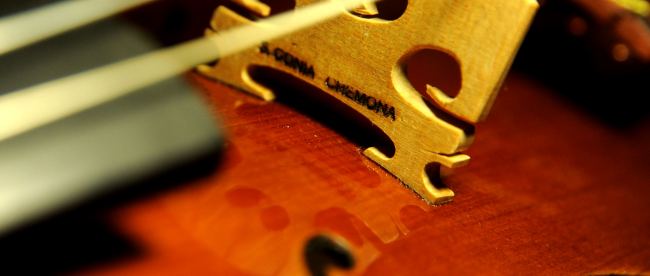 Violin �R�j�A �N�����i �C�^���A