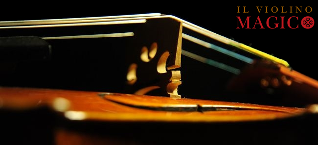 �X�e�t�@�m �R�j�A Conia 