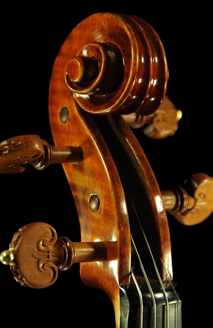 �X�e�t�@�m �R�j�A �C�^���A Conia 