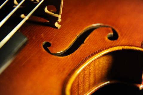 �o�C�I���� �R�j�A �N�����i �C�^���A