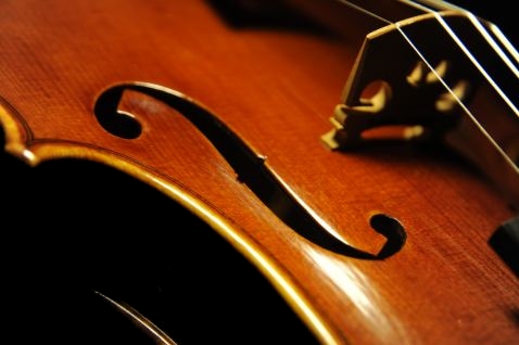 �X�e�t�@�m �R�j�A �C�^���A Conia 