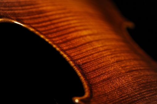 �o�C�I���� �g���u�b�L �N�����i �C�^���A