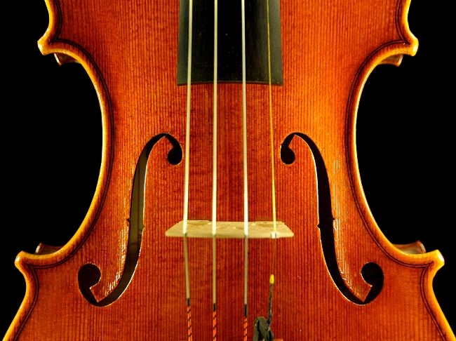 �o�C�I���� �g���u�b�L �N�����i �C�^���A