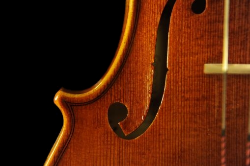 �o�C�I���� �g���u�b�L �N�����i �C�^���A