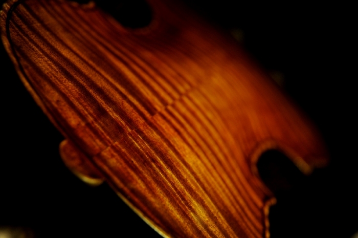 Stradivari 1719 Rappoldi Cremona ITALY