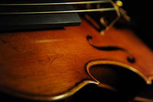 �o�C�I���� �R�j�A giovane �N�����i �C�^���A