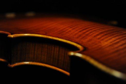 �o�C�I���� �R�j�A giovane �N�����i �C�^���A